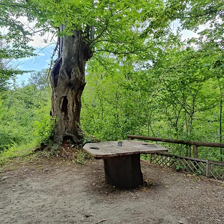 Le Sorgenti - In Sasso Camping Palazzuolo Sul Senio