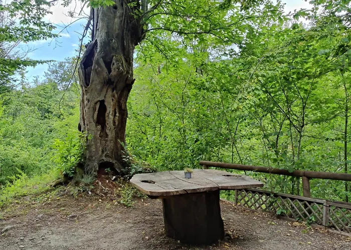 Le Sorgenti - In Sasso Camping Palazzuolo Sul Senio